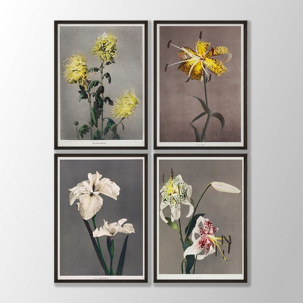 Japanese Flower Prints Set of 4 - Vintage Flower Wall Art, Lily Print, Iris, Sakura, Botanical Poster, Floral Art Print,Kitchen Print