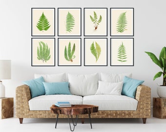 Fern Botanical Prints Set: Vintage Rustic Farmhouse Wall Art