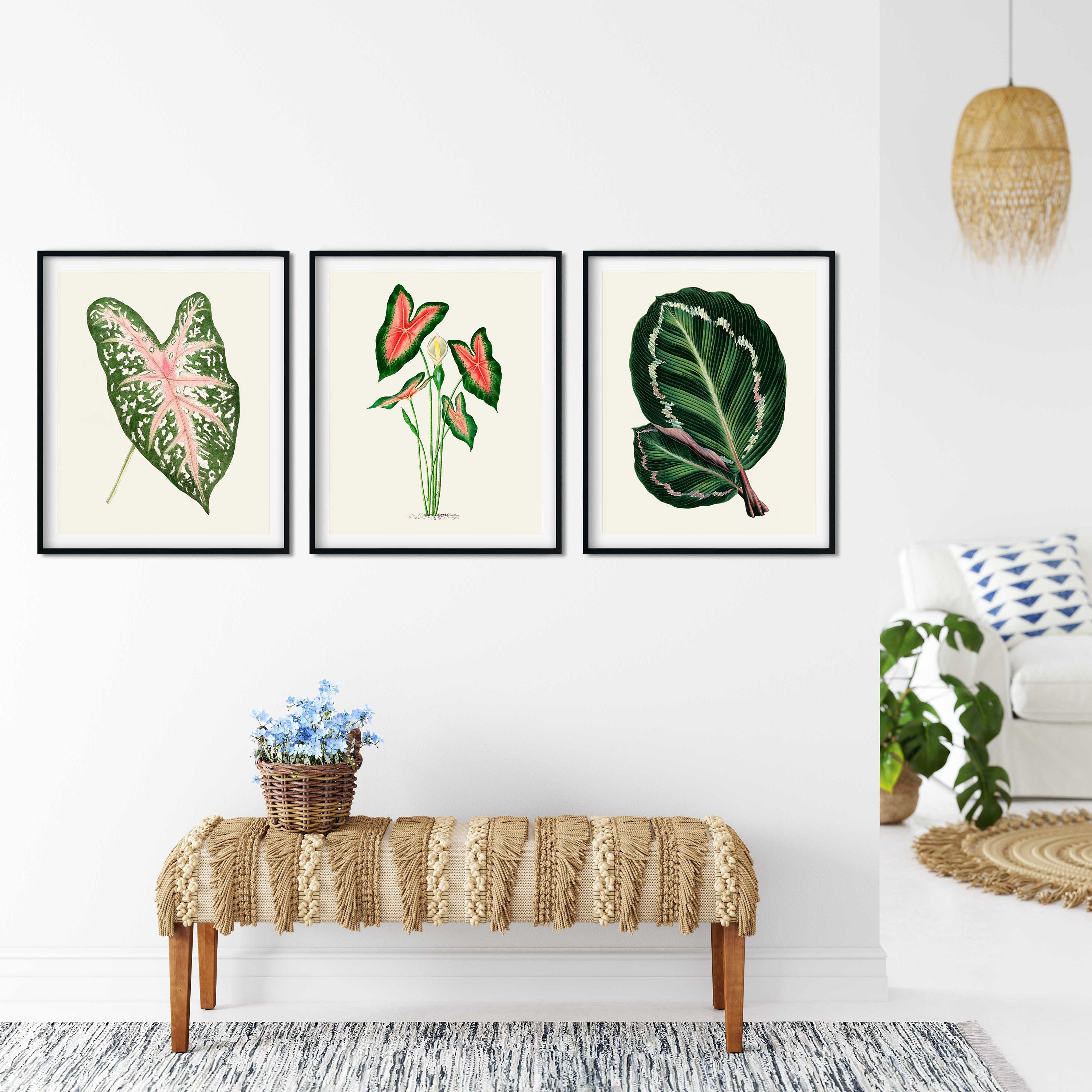 Tropical Leaves Prints Set of 3 Botanical Art Kitchen Art - Etsy UK