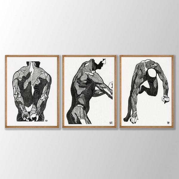 Anatomy Prints Set of 3 - Human Anatomy Art, Anatomy Poster, Doctors Day Gift, Clinic Wall Decor, Medical Gift For Her, Doctor Wall Art