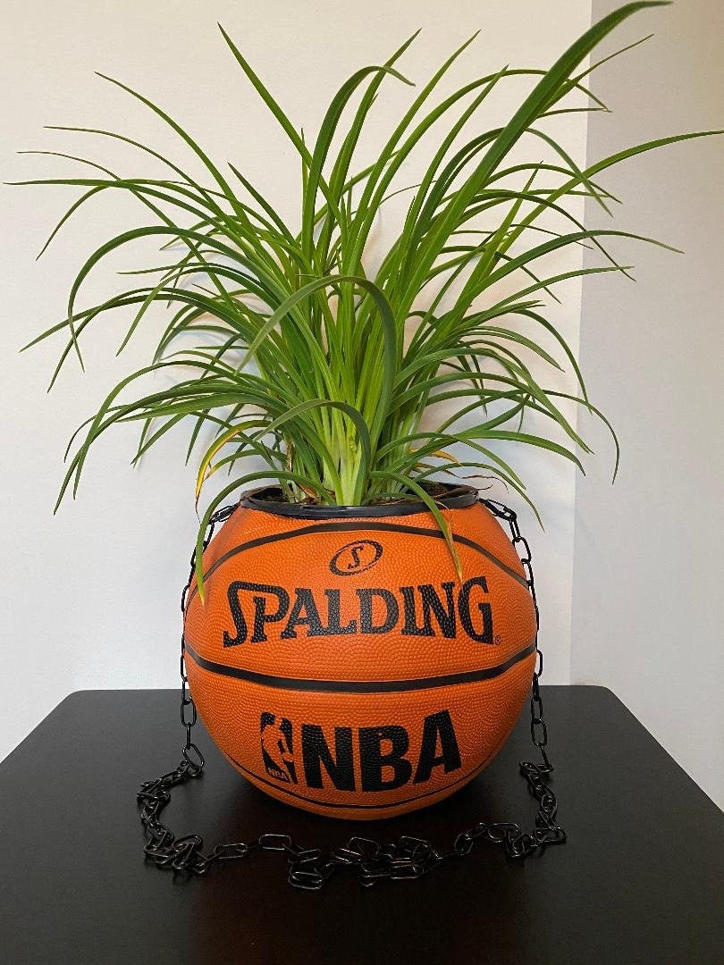 vergiften Hausarbeit Freundschaft basketball plant pot Stapel Muss Unglück
