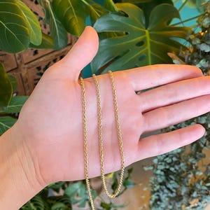 Puede incluir: Un delicado collar de cadena de cuerda de color dorado. La cadena se sostiene en una mano, mostrando sus finos detalles y el tono c&aacute;lido del metal. El fondo presenta un exuberante follaje verde, proporcionando un contraste natural con la joya.