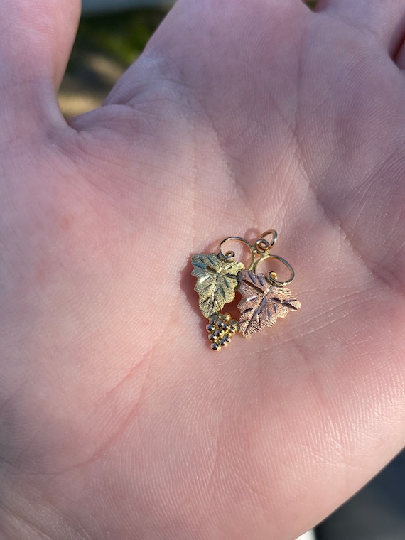 genuine black hills gold Gem