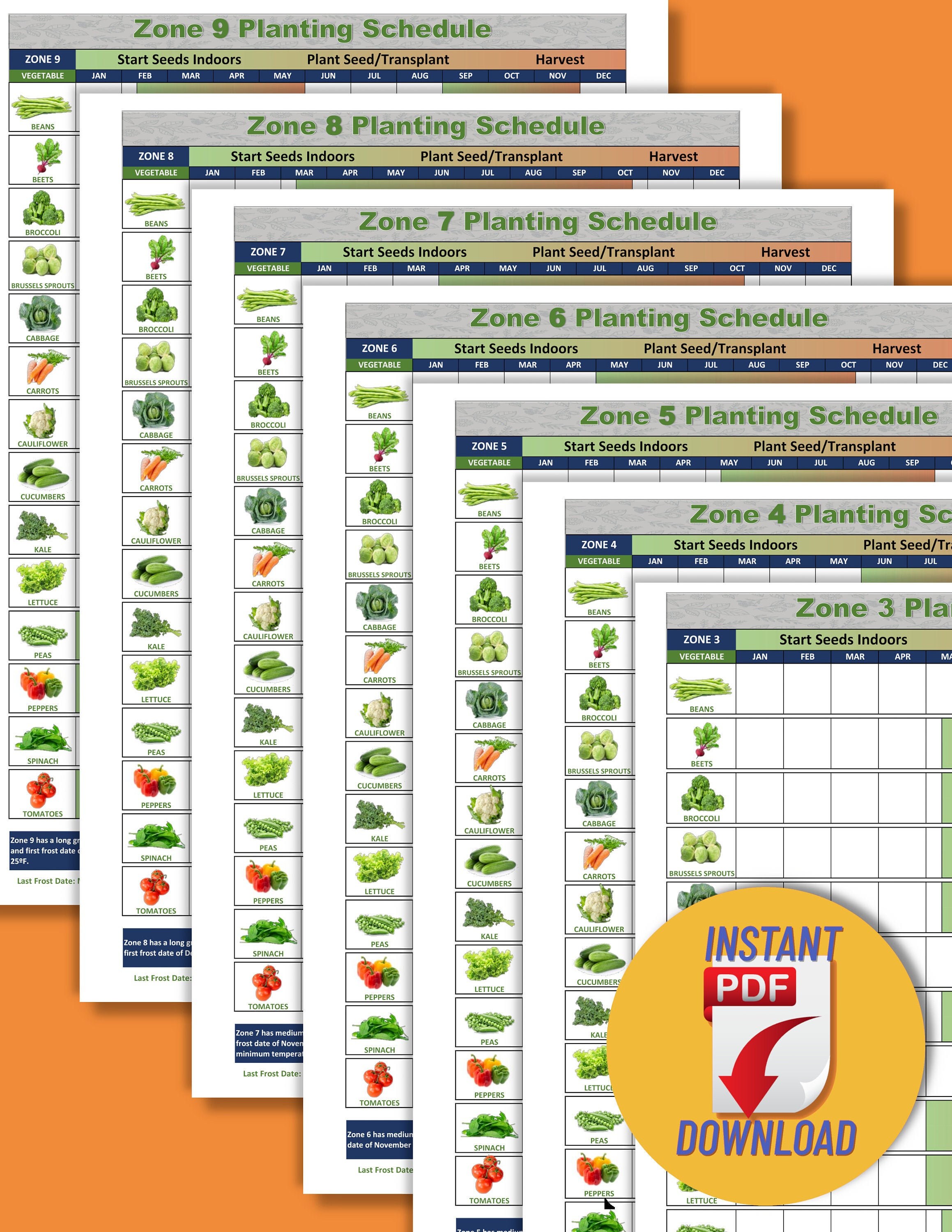 Zone 7 Vegetable Planting Schedule Full Color Digital - Etsy zone-7-vegetable-planting-schedule-full-color-digital-etsy