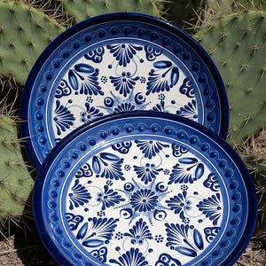 May include: Two ceramic plates with a blue and white floral design. The plates have a dark blue border with a detailed pattern. The background features a cactus.