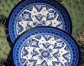 May include: Two ceramic plates with a blue and white floral design. The plates have a dark blue border with a detailed pattern. The background features a cactus.