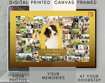 Puede incluir: Un collage digital de fotos de un perro, con el texto "In Loving Memory of SPRINKLES" sobre un fondo dorado. El collage está disponible para descargar digitalmente, impreso en lienzo o enmarcado.