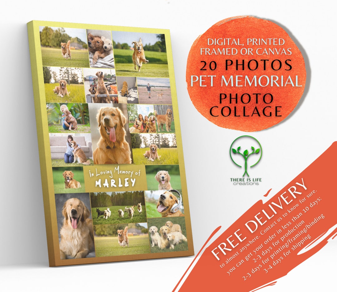 Custom Pet Memorial Photo Collage Digital Printed Framed Etsy