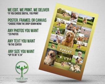 Puede incluir: Un collage de fotos de un perro golden retriever en varias poses, con el texto "In Loving Memory of MARLEY" en la parte inferior. El collage está sobre un fondo amarillo con un degradado a marrón en la parte inferior.