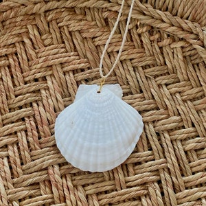 May include: A white seashell pendant necklace with a gold chain. The necklace is hanging on a woven wicker surface.