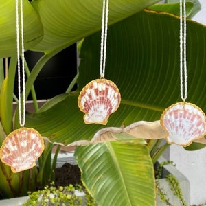May include: A wooden dowel rod with four seashells hanging from it. The seashells are painted gold and have a pink and white pattern. The dowel rod is hanging from a green plant.