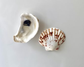 Refrigerator Seashell Magnets l Fridge Magnets Summer Seashells l Oyster Magnet Fridge Magnet l Fridge Accessories Seashell Accessories Home