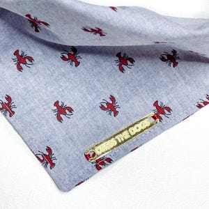May include: A light blue dog bandana with a repeating pattern of red lobsters. A gold-colored tag with the text "DRESS THE DOGS" is attached to the corner of the bandana. The fabric has a textured appearance.