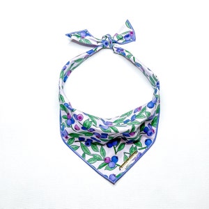 Blueberry Dog Bandana // “BLUEBERRIES” // Fruit, Berries // Blue, Purple, Lavender, Navy // Dog // Pet Bandana and Scrunchie