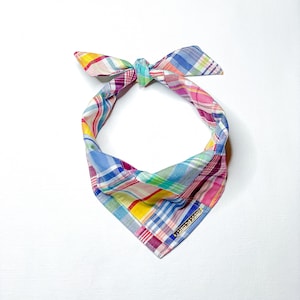 May include: A colorful plaid bandana with a gold metal tag. The bandana is tied in a knot at the top and has a blue, pink, yellow, and green plaid pattern.