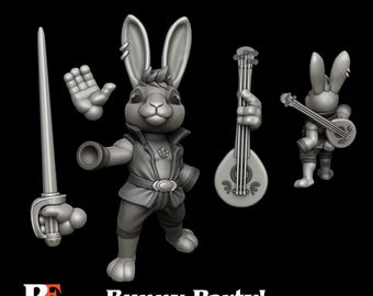 Printed encounter - Modular Bunny Party kits  - Bard - Druid - Paladin - Wizard - Barbarian - Sorcerer - Rogue - Monk - Cleric - Ranger