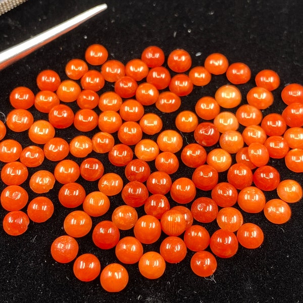 Red Coral Round Shape Cabochon Loose Gemstones in Assorted Sizes from 2.5mm to 6.3mm for Jewellery Making