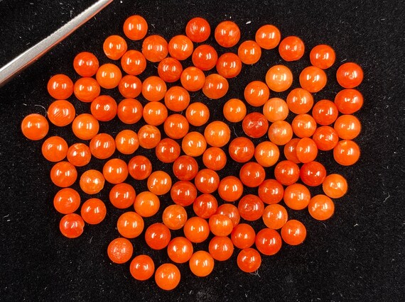 Cabochon En Corail Rouge Naturel Vintage – 8 Carats, Taille Brillant – Parfaite Pour La Création De Bijoux Ou La Restauration De Meubles