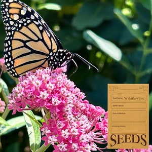 May include: A Monarch butterfly with orange, black, and white markings rests on a cluster of pink flowers. A brown seed packet with the word "Wildflowers" and the word "SEEDS" is in the lower right corner.