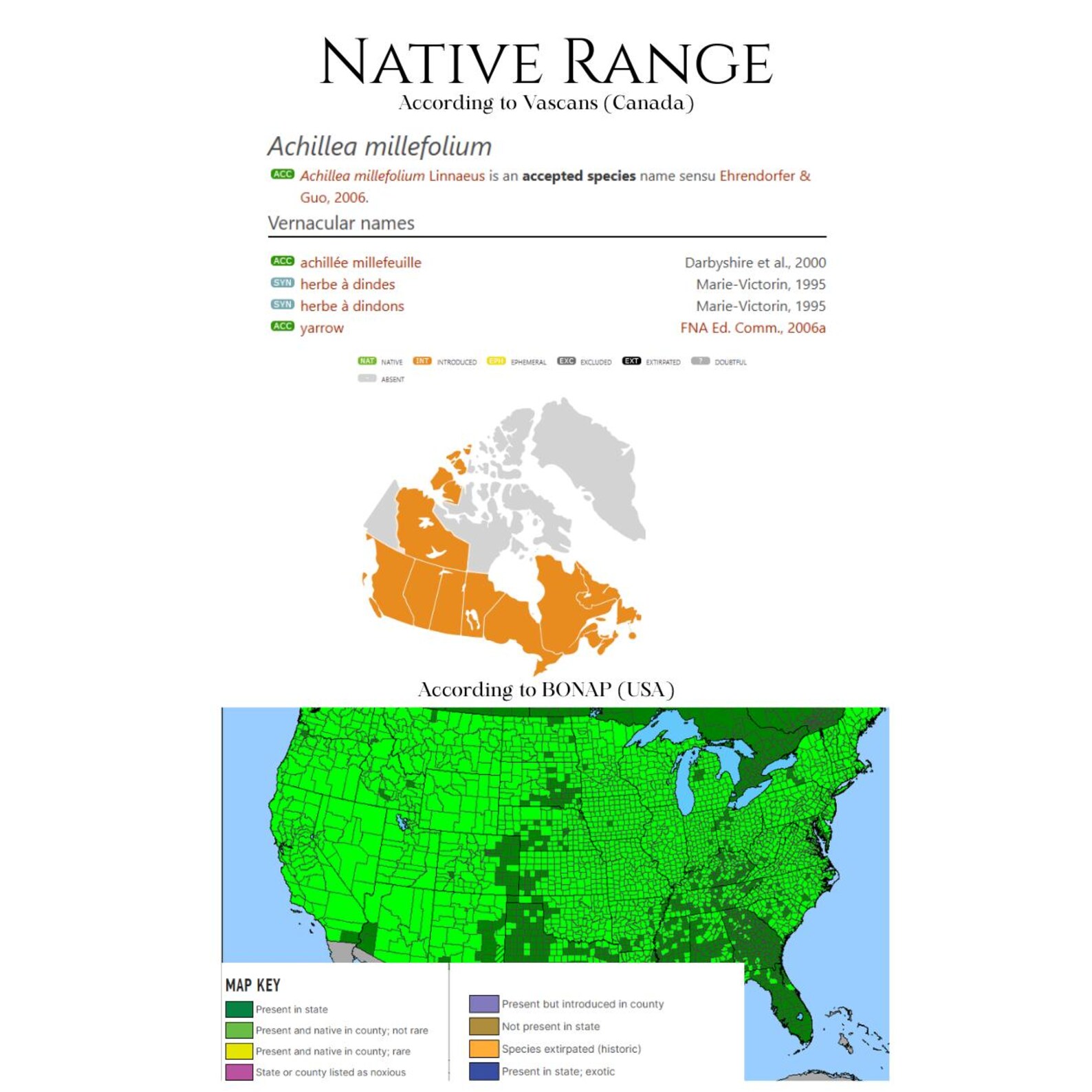 Native Yarrow Map Common Yarrow - Achillea Millefolium - Ontario Canada Native Wildflower ...