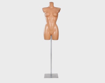 Display forms, Female Body, Female Torso Display