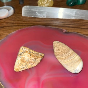 Petrified Wood tumbled stones