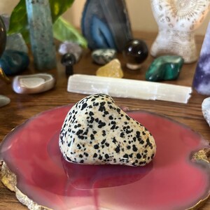 Dalmatian Jasper Large tumbled stones