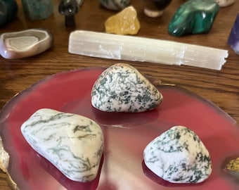 Tree Agate Tumbled Stones