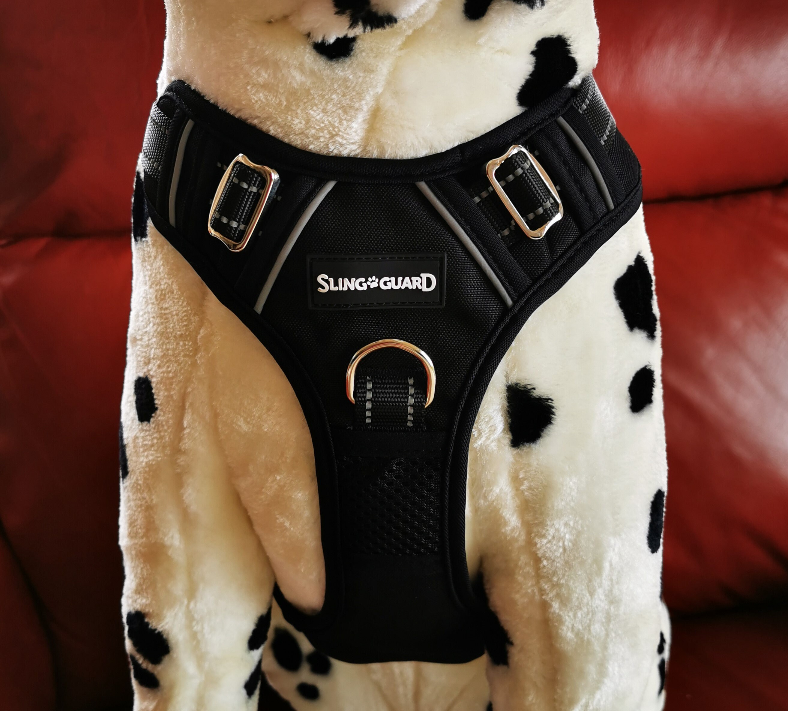 Dog 2in1 Car Safety Harness Etsy Australia
