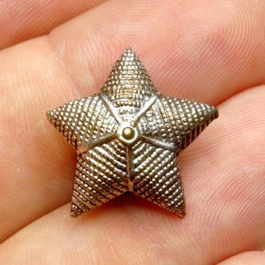 WWII. Polish Free Forces Rank Star. Badge.