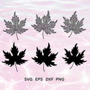 Bella foglia d'acero / Foglia d'acero Svg / Foglia d'acero Dxf / Foglia d'acero Png / Autunno Svg / Foglia d'acero Eps / Cricut / Foglia d'acero Silhouette SVG