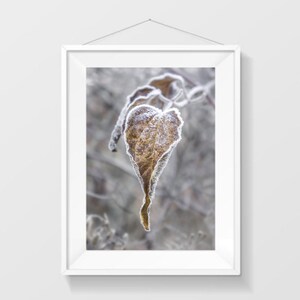 Dried Leaf Printable Art Floral Wall Art Beige Leaves Frozen Leaves JPG Frost Winter Leaves Poster Cold Weather Instant Download
