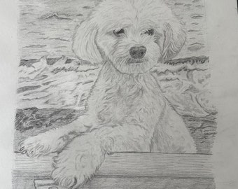 Custom Pet Portrait