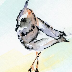 Carte "Kiebitz", carte double sur papier aquarelle avec enveloppe et encart pour le texte