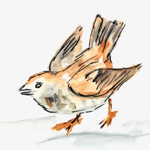 Kaart "Sperling", dubbele kaart op aquarelpapier met envelop en inlegvel voor de tekst