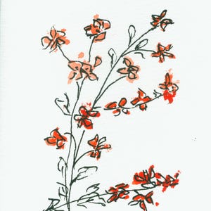 Kaart "Rode bloemen", dubbele kaart op fotopapier met envelop en inlegvel voor de tekst