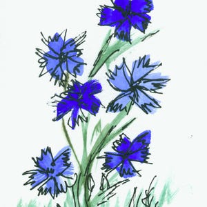 Kaart "Korenbloemen", AU3 dubbele kaart op fotopapier met envelop en inlegvel voor de tekst