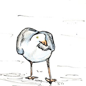 Carte "Mouette", carte double sur papier aquarelle avec enveloppe et encart pour le texte