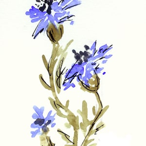 Kaart "Watercolor Blue Flowers", dubbele kaart op fotopapier met envelop en inlegvel voor de tekst
