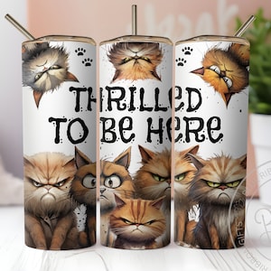 Funny Cats Tumbler Wrap, Cat Lovers Skinny 20 oz Tumbler Sublimation Design, Funny Cat Tumbler PNG, Digital Download, Sarcastic Cat Tumbler