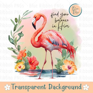 Christian Sublimation Design, Find Your Balance PNG, Trendy Shirt Png, Faith Png, Religious Png, Pink Flamingo Png, Instant Digital Download
