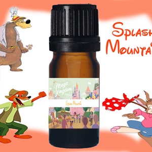Pode incluir: Uma garrafa de vidro marrom com uma tampa preta e um rótulo que diz "Magic Kingdom Splash Mountain". O rótulo também apresenta uma imagem de desenho animado do passeio Splash Mountain no Walt Disney World.