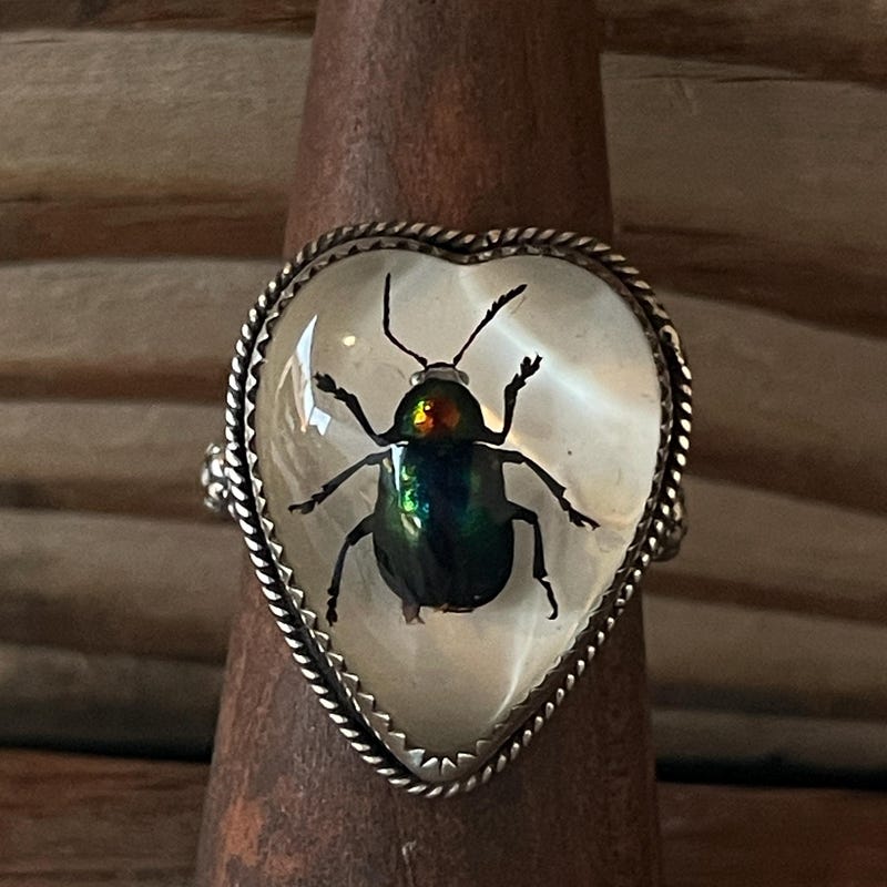 Beetle Ring - Etsy