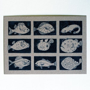 Postkarte "Fische Vielfalt"