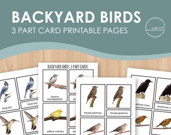Cartes assorties en 3 parties Backyard Birds, cartes en 3 parties inspirées de Montessori pour les 3 à 6 ans, cartes assorties préscolaires, cartes assorties pour l'école à la maison