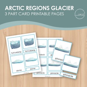 Tarjetas de 3 partes del glaciar de las regiones árticas, tarjetas de 3 partes inspiradas en Montessori, tarjetas flash preescolares, tarjetas flash de la escuela en casa