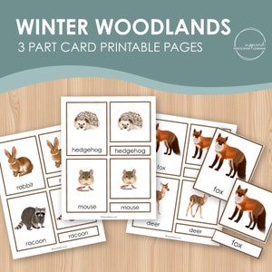 Cartes en 3 parties Winter Woodland, cartes flash inspirées de Montessori, cartes assorties pour les enfants, jeu d'association pour les enfants, activité imprimable d'hiver