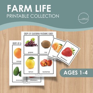 Activité imprimable de la vie à la ferme, imprimable préscolaire, imprimable Montessori, imprimable pour tout-petits, feuilles de travail pour l'école à la maison, cartes flash pour tout-petits