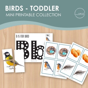 Birds Toddler Mini Collection, afdrukbare activiteit voor peuters, Montessori geïnspireerde peuteractiviteit, activiteit van 18 maanden tot 3 jaar
