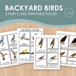 Tarjetas a juego de 3 partes de Backyard Birds, tarjetas de 3 partes inspiradas en Montessori para edades de 3 a 6 años, tarjetas a juego de preescolar, tarjetas a juego de escuela en casa